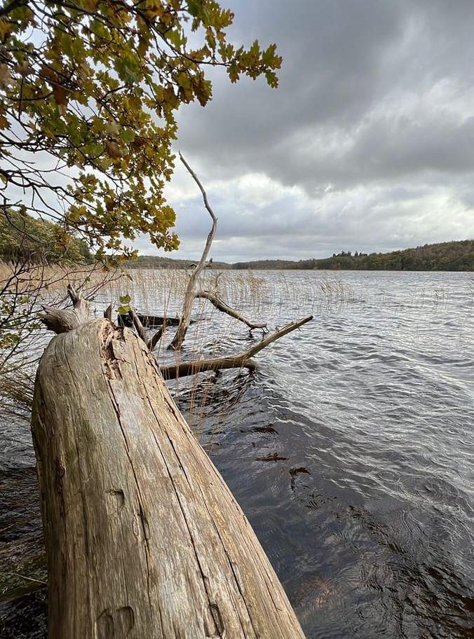 En underbar promenad runt Rådasjön 17 oktober 2023, en plats för att hämta energi och glädje.