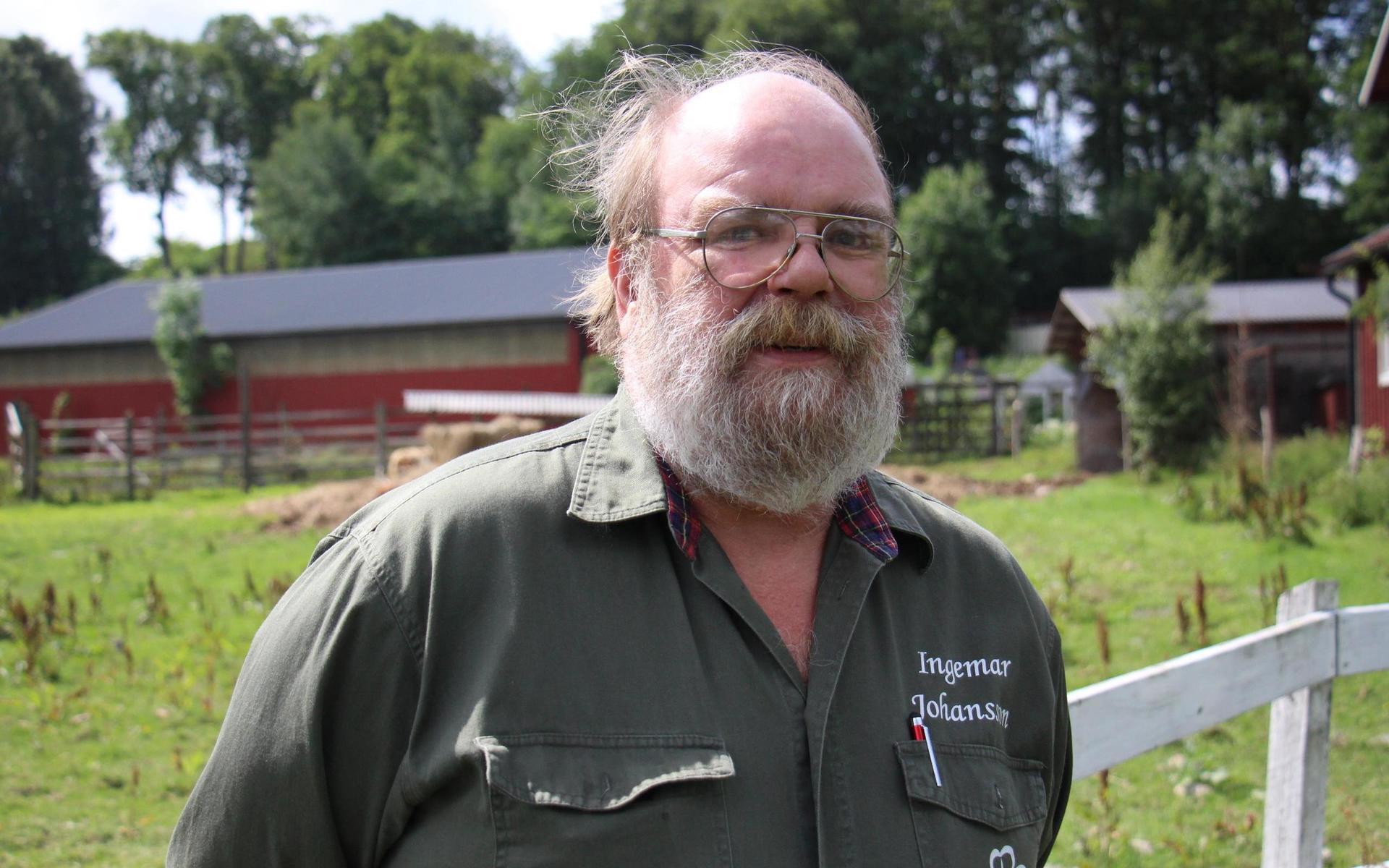 Ingemar Johansson (C) har Highland-kor på sin gård i Kållered för att hålla betesmarkerna öppna. Nu har han fått ett förläggande från länsstyrelsen efter att de upptäckt brister. 