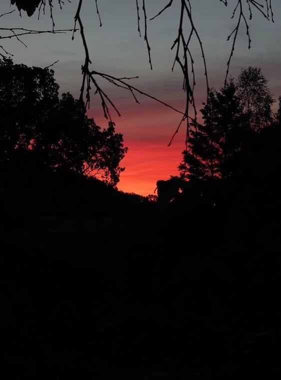 Soluppgång i Lindome klockan 4 på morgonen den 13 juli.